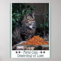 Poster de Feral Cats Deserty of Love
