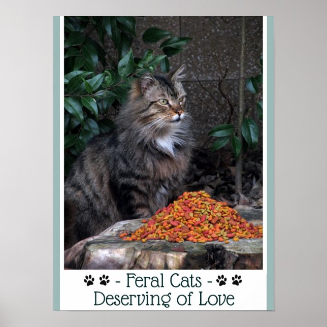 Poster de Feral Cats Deserty of Love (Devant)