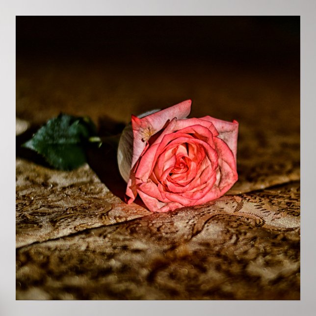 Poster de fermeture rose (Devant)