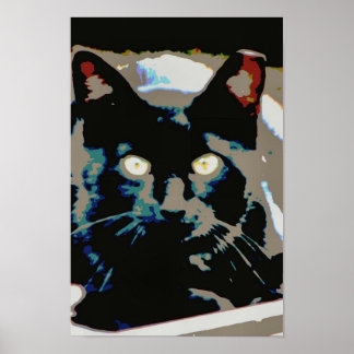 Poster de ferraille noire
