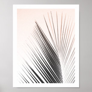 Poster de feuille de palmier   Rose 8x10