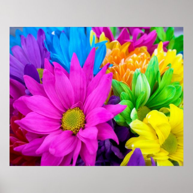 Poster de fleurs colorées (Devant)