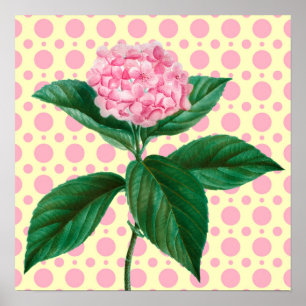 Poster de fleurs d'art rétro Vintage rose Hydrange