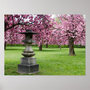 Poster de fleurs de cerisiers et de la pagode (Mat