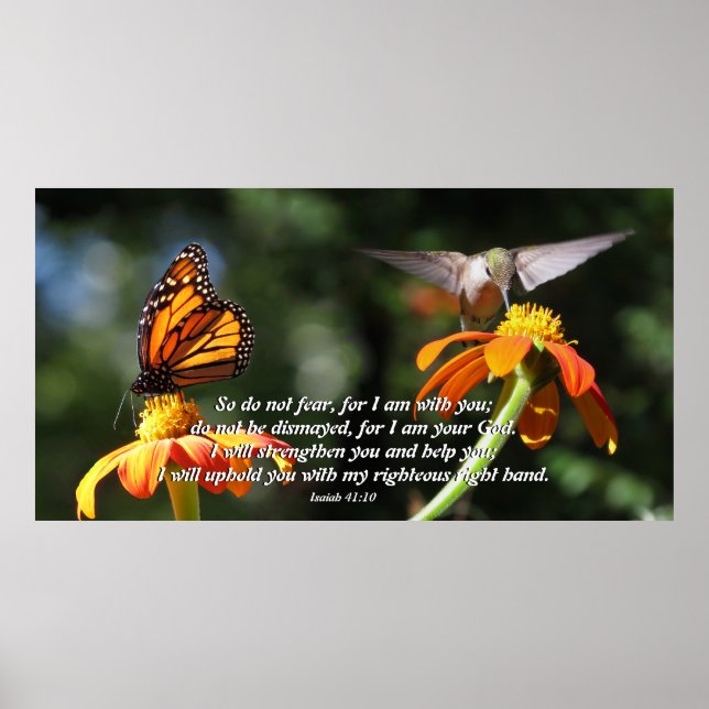 Poster de fleurs de papillon de Monarque d'oiseau  (Devant)