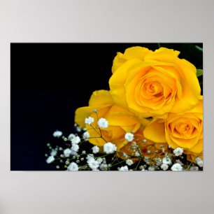 Poster de fleurs de roses jaunes