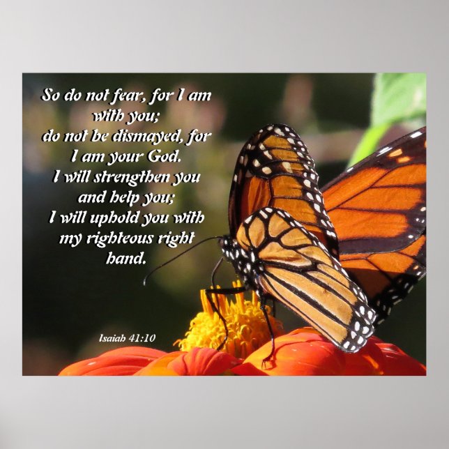 Poster de fleurs de tournesol Monarch Butterfly (Devant)