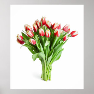 Poster de fleurs exquises - Tulipes