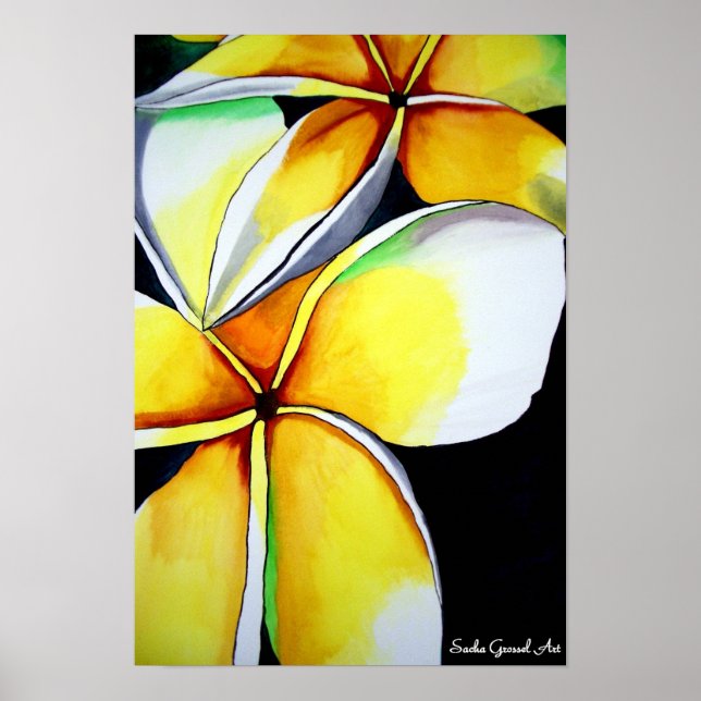 Poster de fleurs Frangipani de Sacha Grossel Art (Devant)