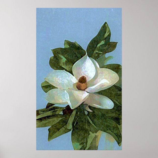 Poster de fleurs Magnolia (Devant)