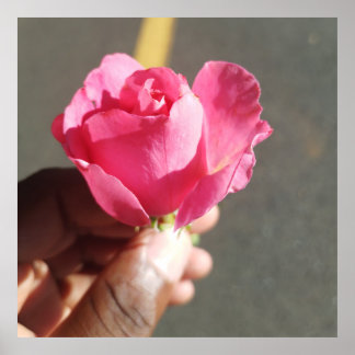 Poster de fleurs roses