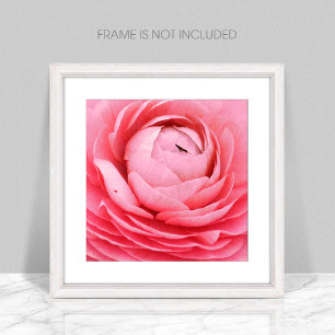 Poster de fleurs roses rapprochées