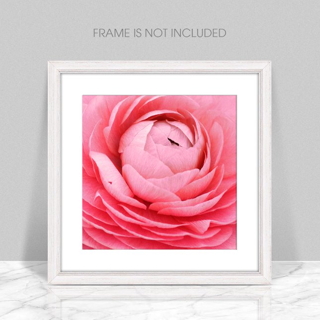 Poster de fleurs roses rapprochées (Créateur téléchargé)