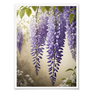 Poster de fleurs Wisteria Mur Art Décor
