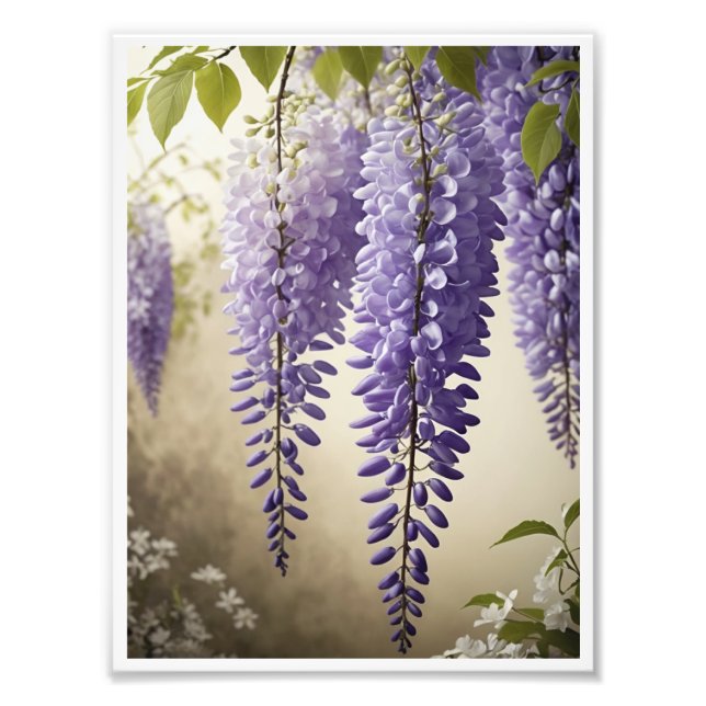 Poster de fleurs Wisteria Mur Art Décor (Devant)