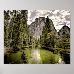Poster de Forest Lake