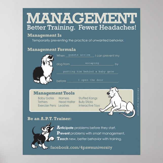 Poster de gestion (Devant)