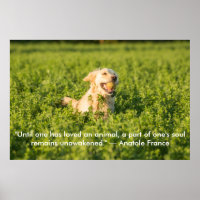 Poster de Golden Retriever avec citation