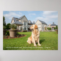 Poster de Golden Retriever avec citation