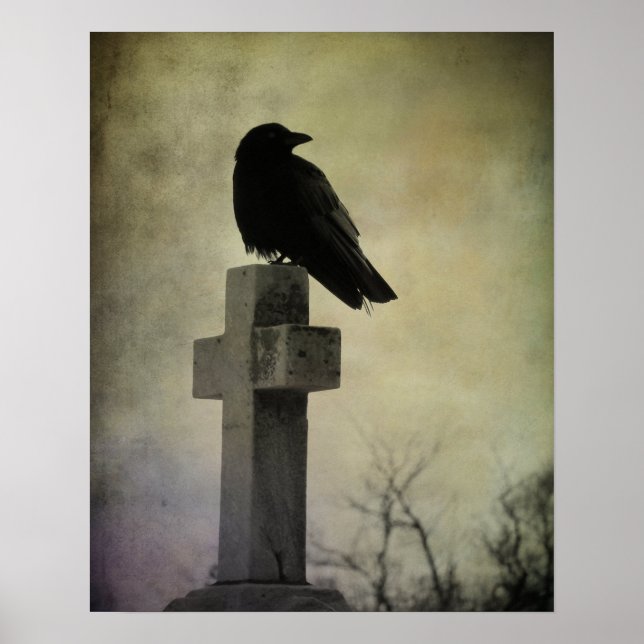 Poster de Goth Crow (Devant)