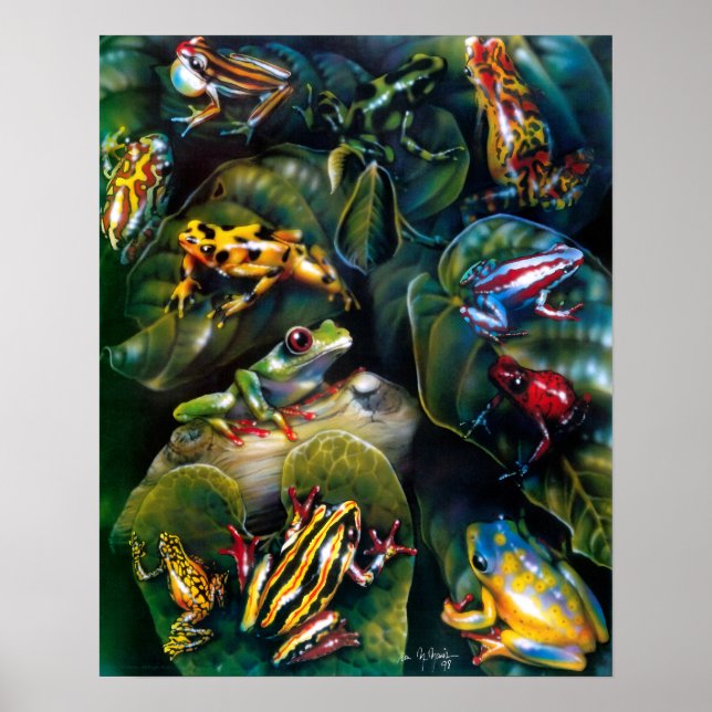 Poster de grenouilles (Devant)