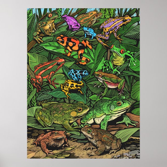 Poster de grenouilles (Devant)