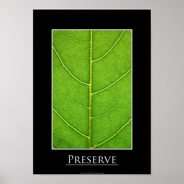 Poster de gros plan (Devant)