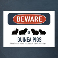 Poster de Guipg