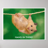 Poster de Hamster drôle & mignon