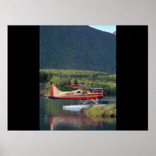 Poster De Havilland, castor, aviation 1951_Classic