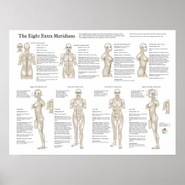 Poster de huit Meridiens Acupuncture Extraordinair (Devant)