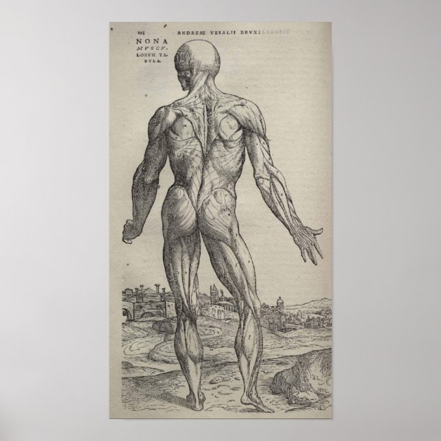 Poster De Humani Corporis (Devant)