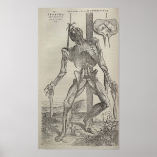 Poster De Humani Corporis