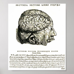 Poster De Humani Corporis