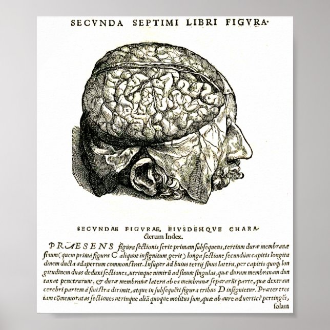 Poster De Humani Corporis (Devant)