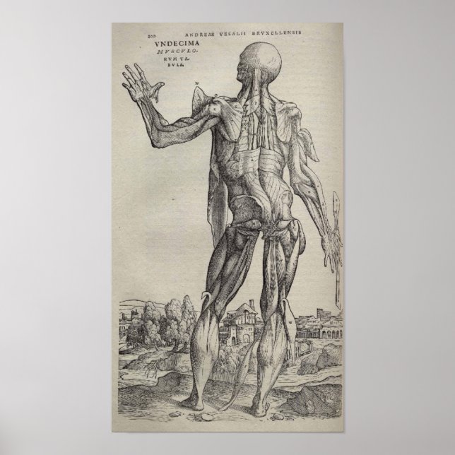 Poster De Humani Corporis (Devant)