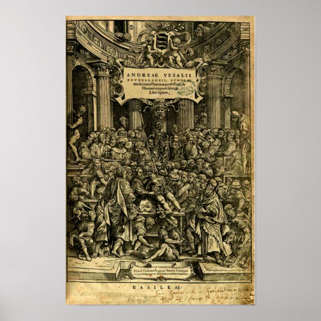 Poster De Humani Corporis Fabrica (Devant)