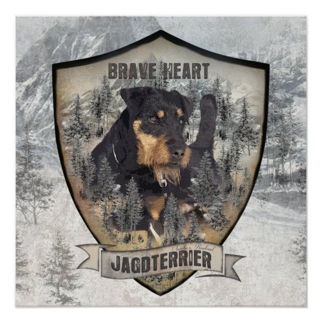 Poster de Jagdterrier, German Hunter Terrier (Devant)