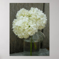 Poster De Jar De Hydrangeas Et De Barn Wood
