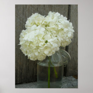 Poster De Jar De Hydrangeas Et De Barn Wood