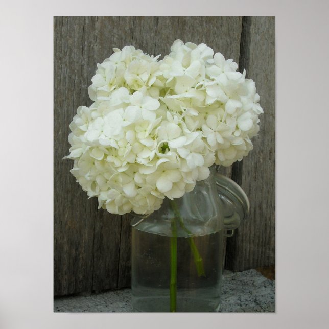 Poster De Jar De Hydrangeas Et De Barn Wood (Devant)