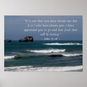 Poster de John 15:16