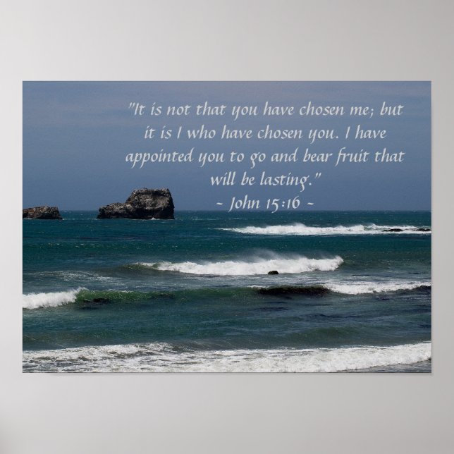 Poster de John 15:16 (Devant)