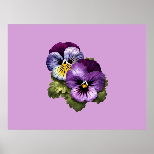 Poster De Jolies Pansies Violettes (Devant)