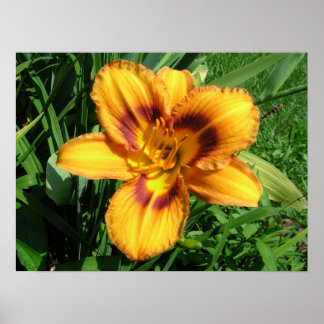 Poster de jour Orange