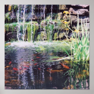 Poster de Koi Pond