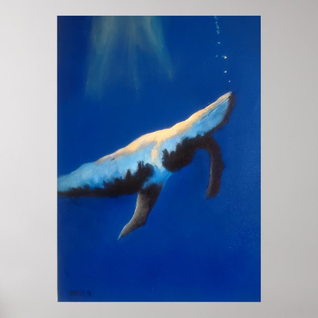 Poster de la baleine à bosse du matin (Devant)