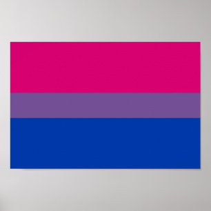 Poster de la Bi Pride