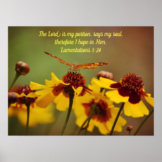 Poster de la Bible de papillon (Devant)