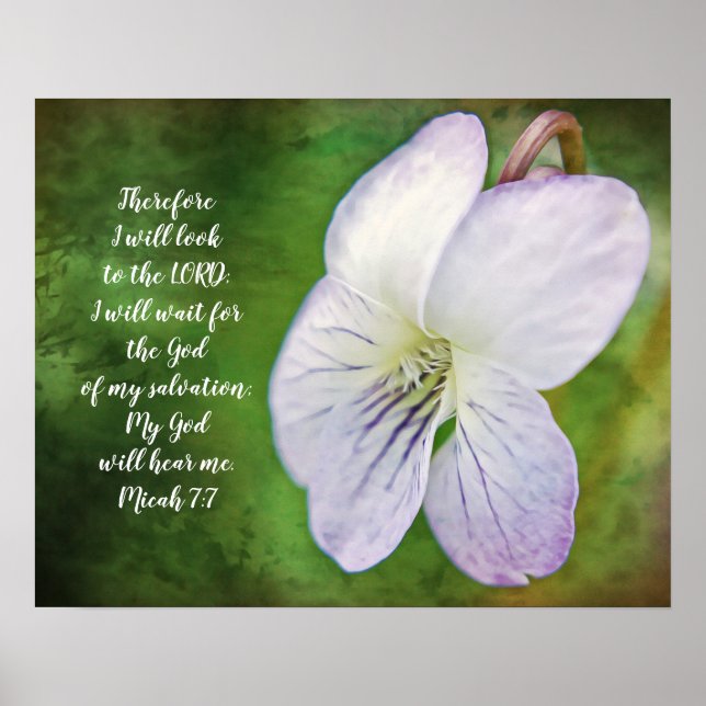 Poster de la Bible Fleur de Violet sauvage (Devant)
